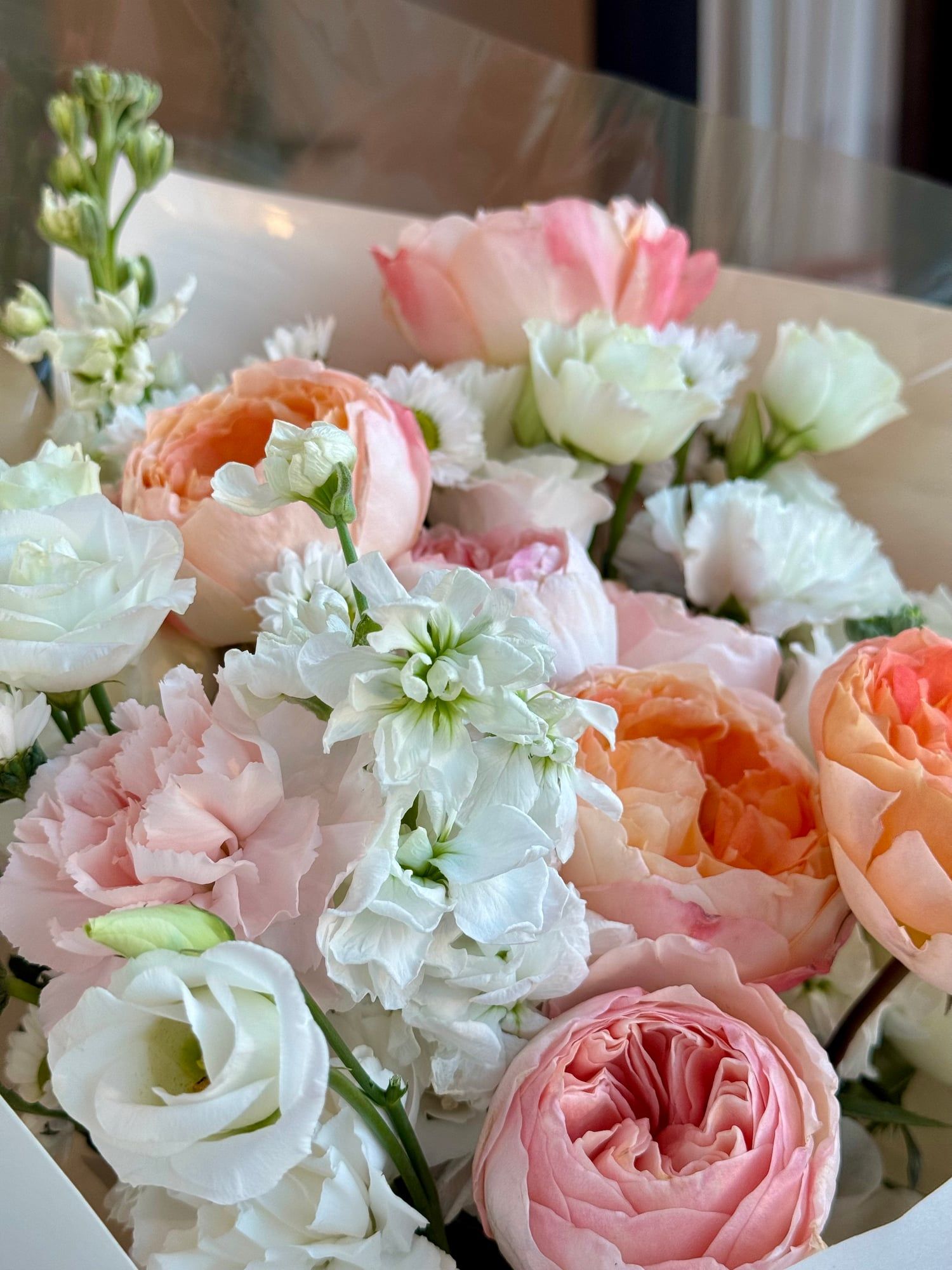 A Sunset in Bloom — view 5
