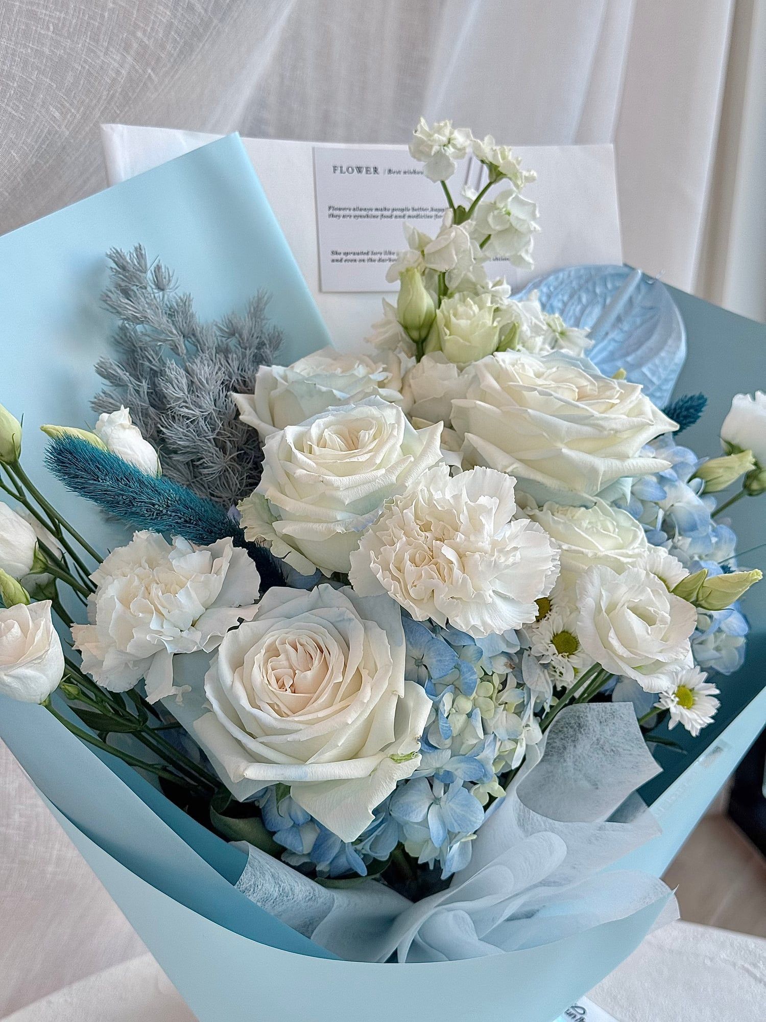Carolina Blue — view 4
