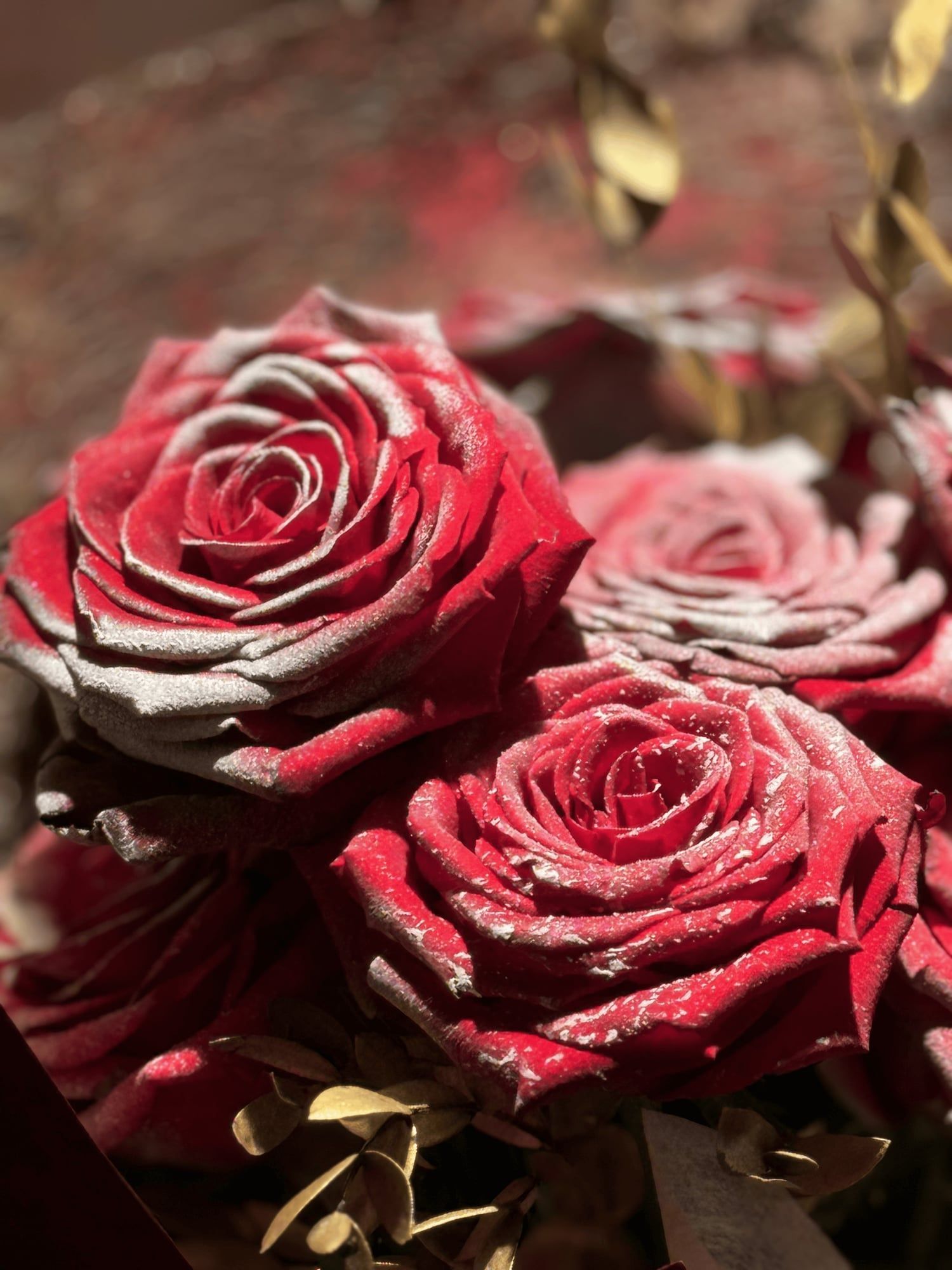 Christmas Rose Fresh Flower Bouquet — view 2