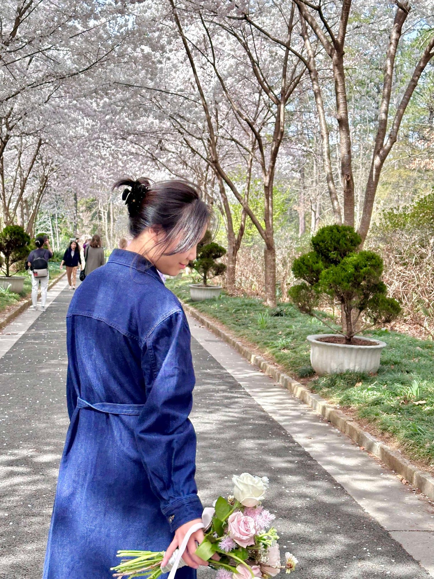 Sakura Whisper — view 2