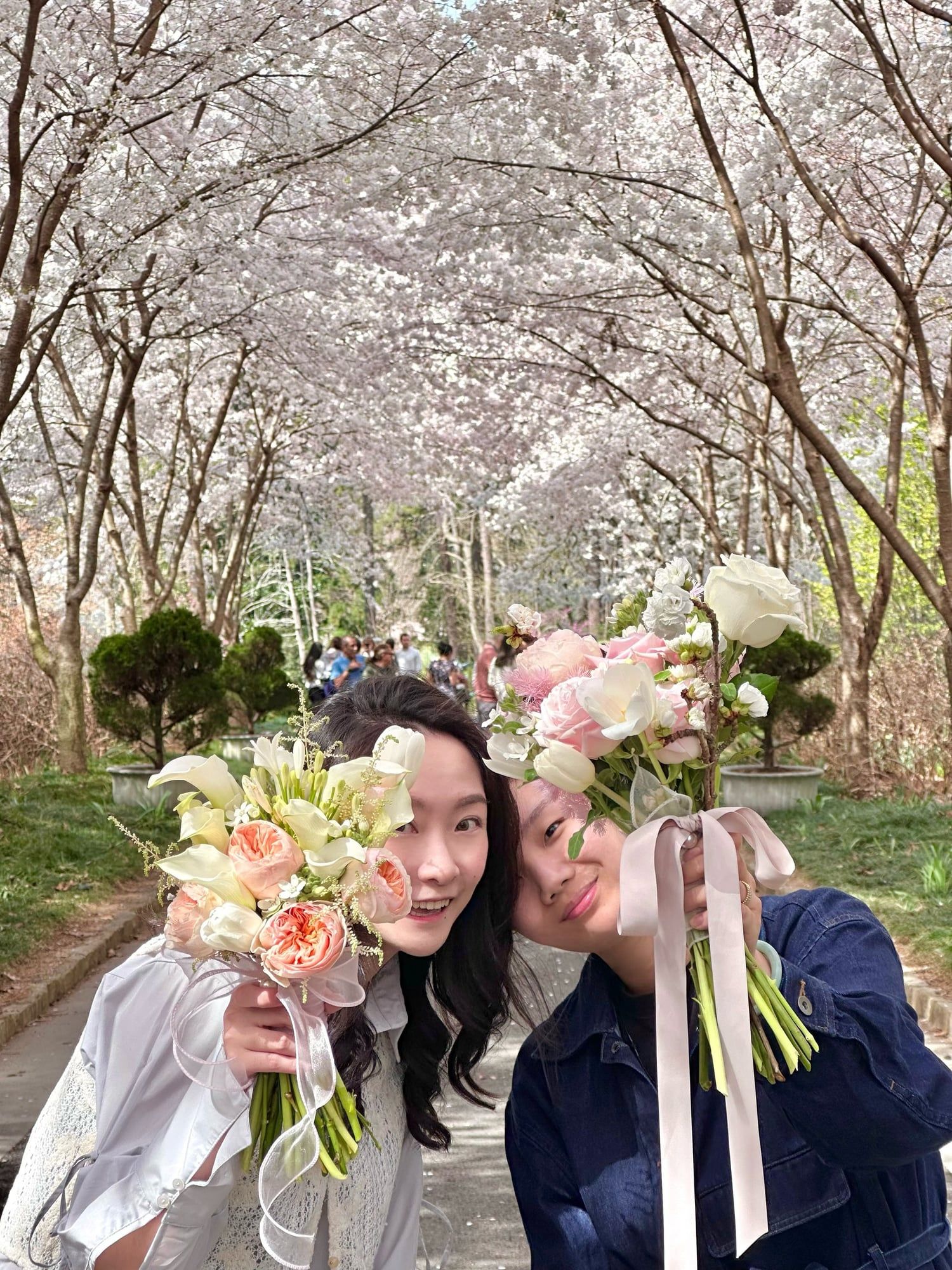 Sakura Whisper — view 3