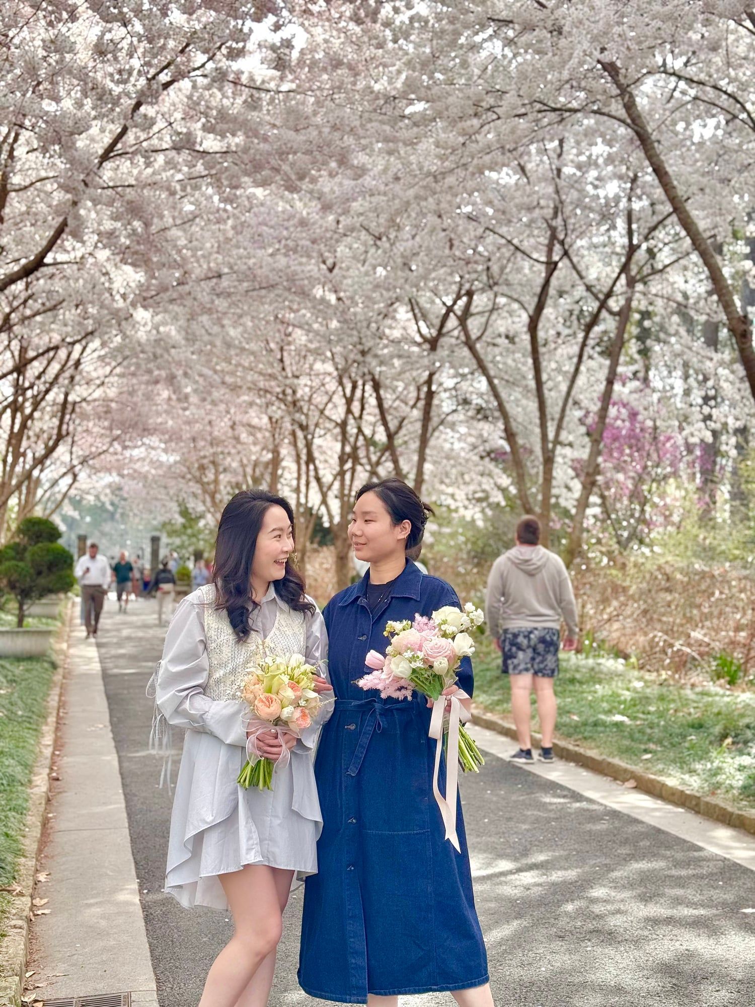 Sakura Whisper — view 5